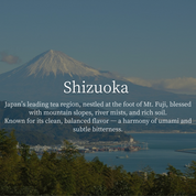 Shizuoka Harvest Essential Grade