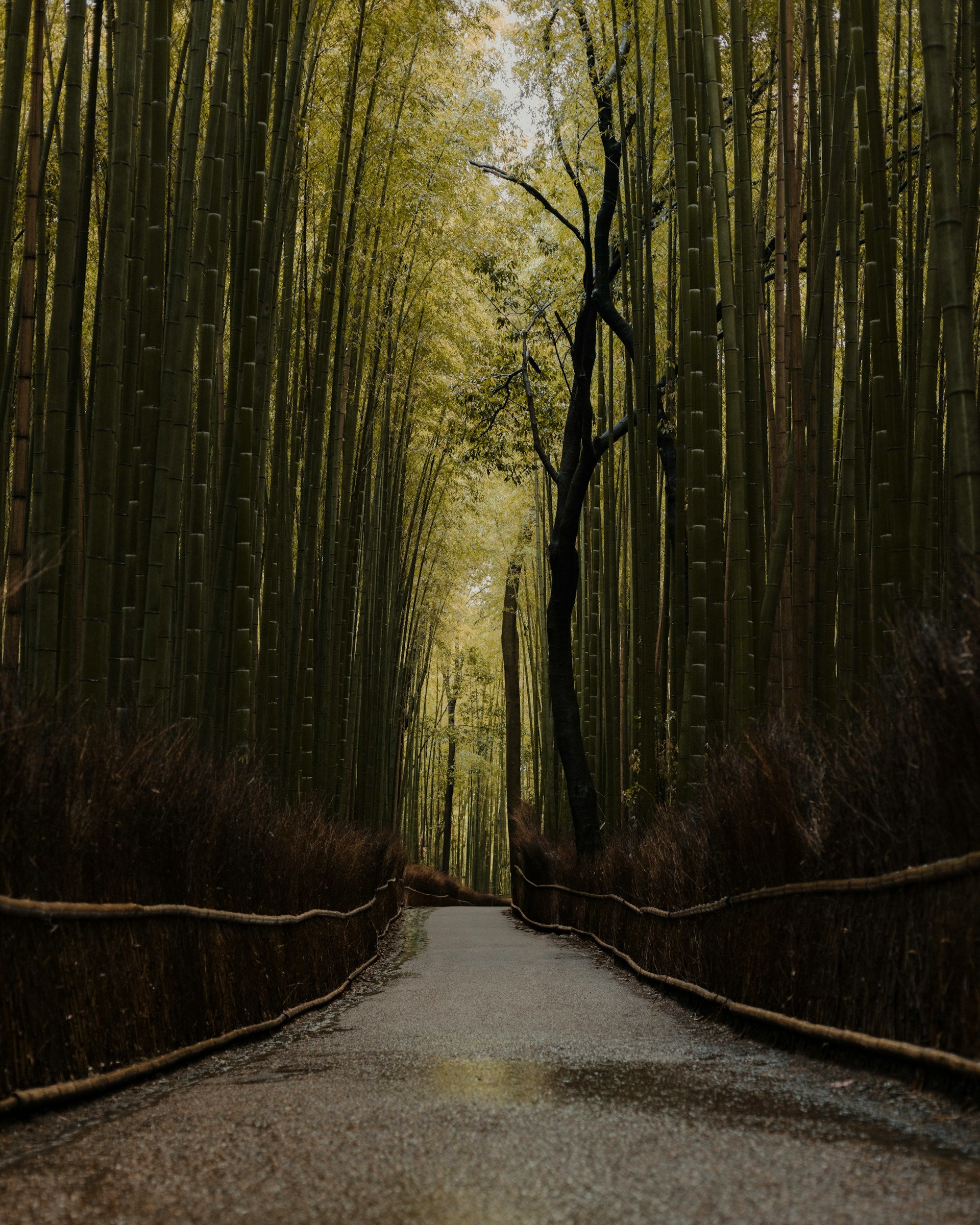 caleb-smith-p9JHJ2DAl5c-unsplash_1.jpg