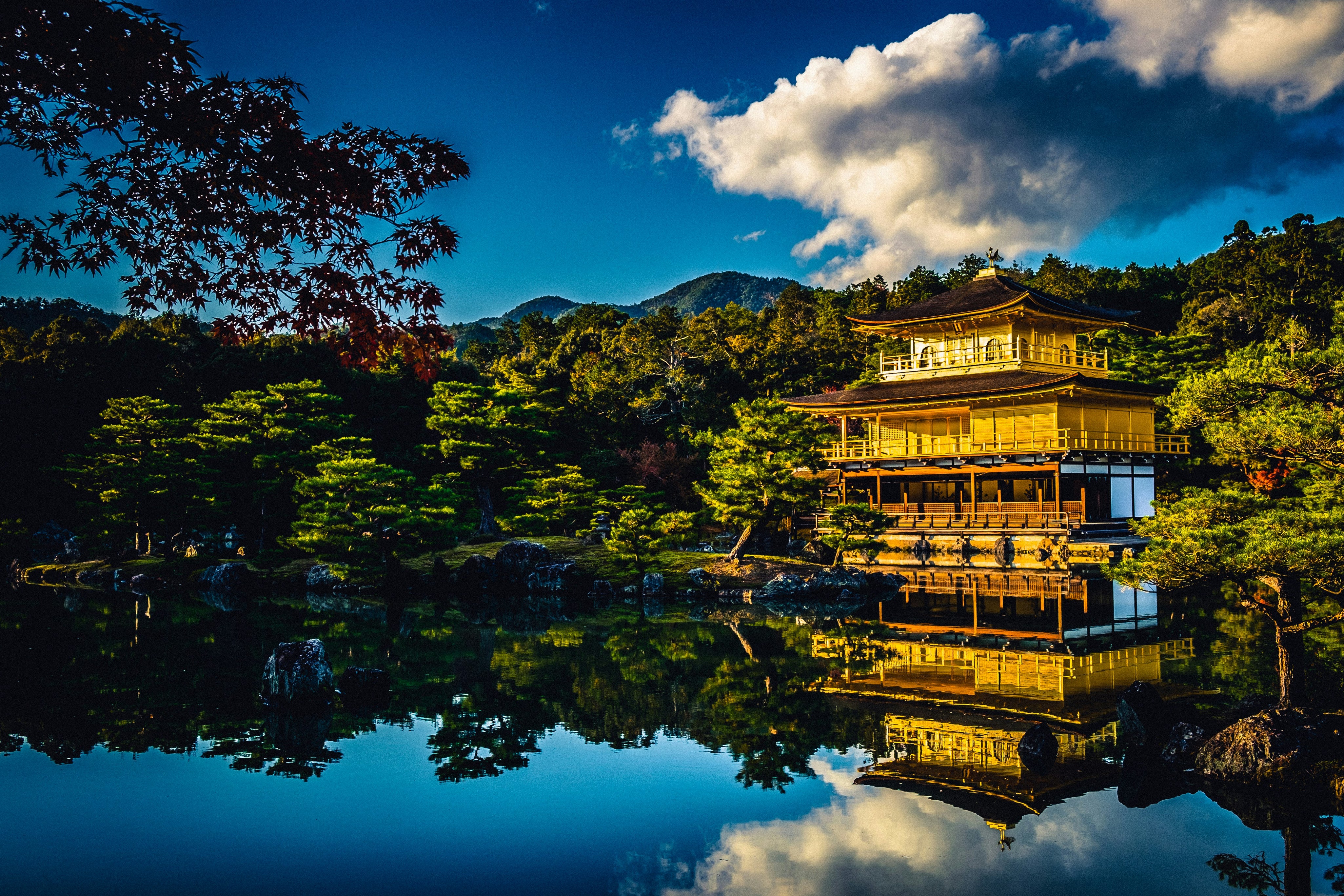 Grown and Packaged with Care in Japan