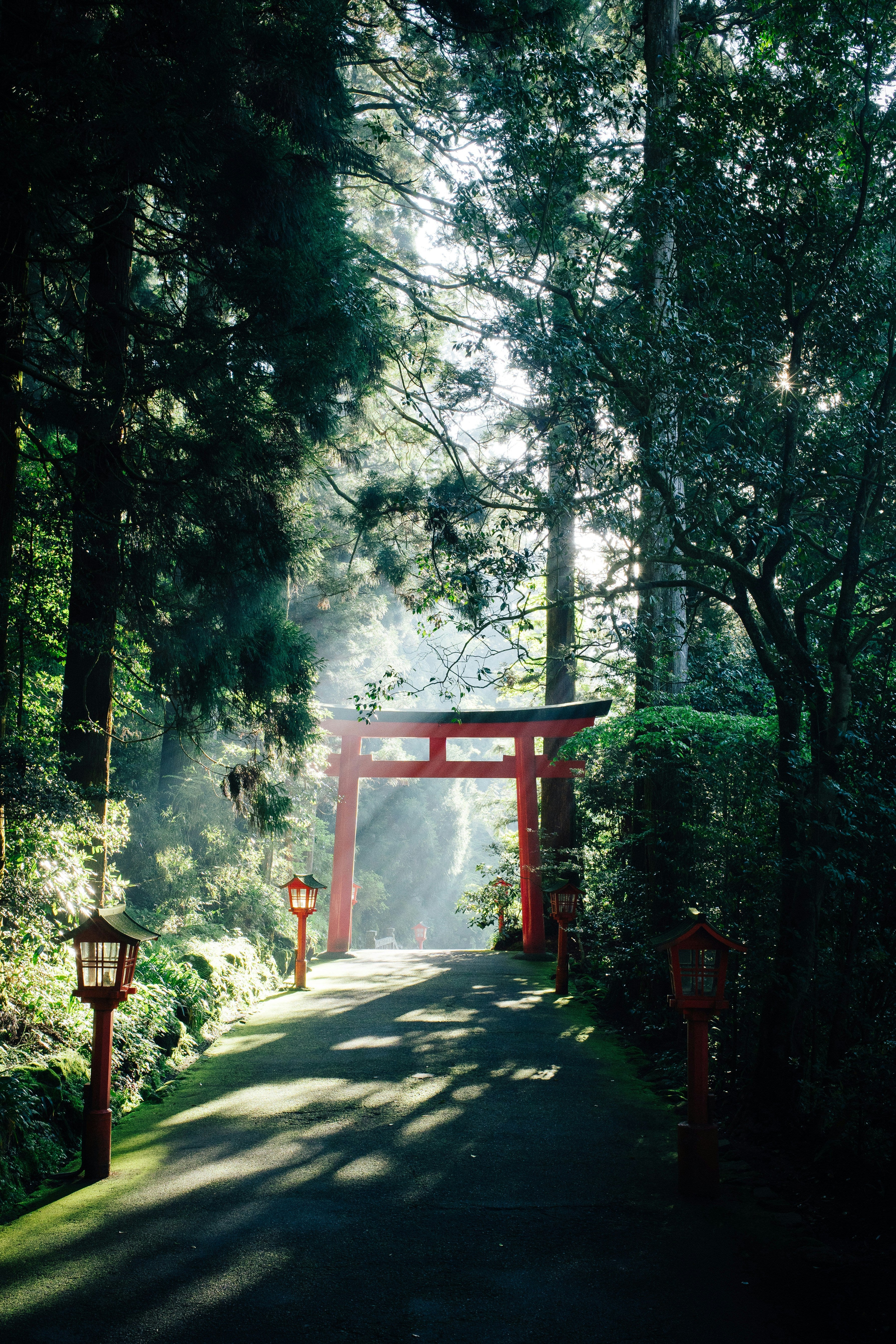 syuhei-inoue-kaoHI0iHJPM-unsplash.jpg